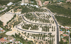 El Pinar de las Moruchas 